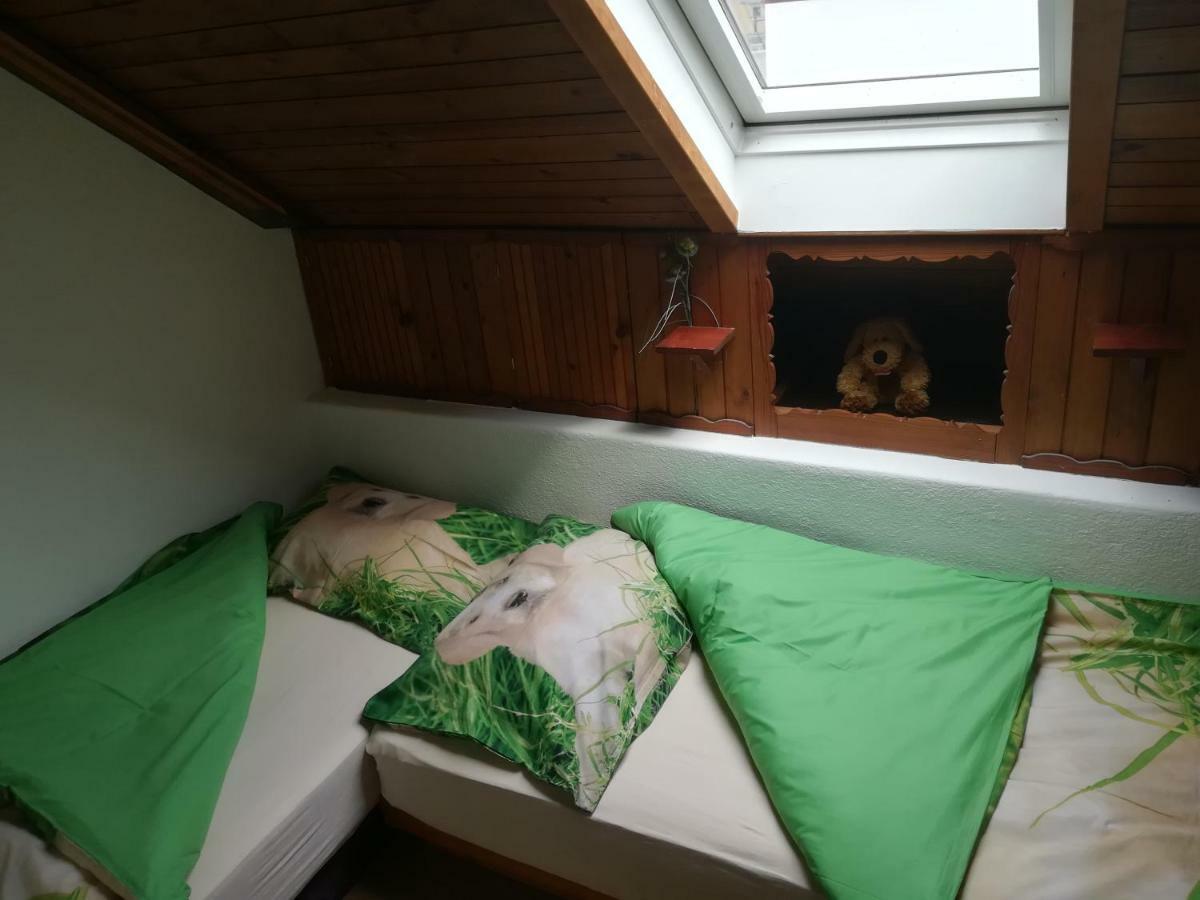 Apartma Pr Pekovcu 博希尼 外观 照片