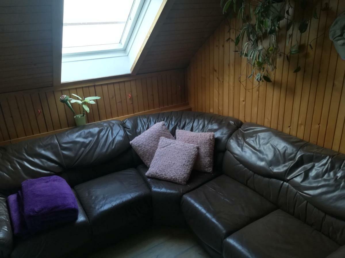 Apartma Pr Pekovcu 博希尼 外观 照片