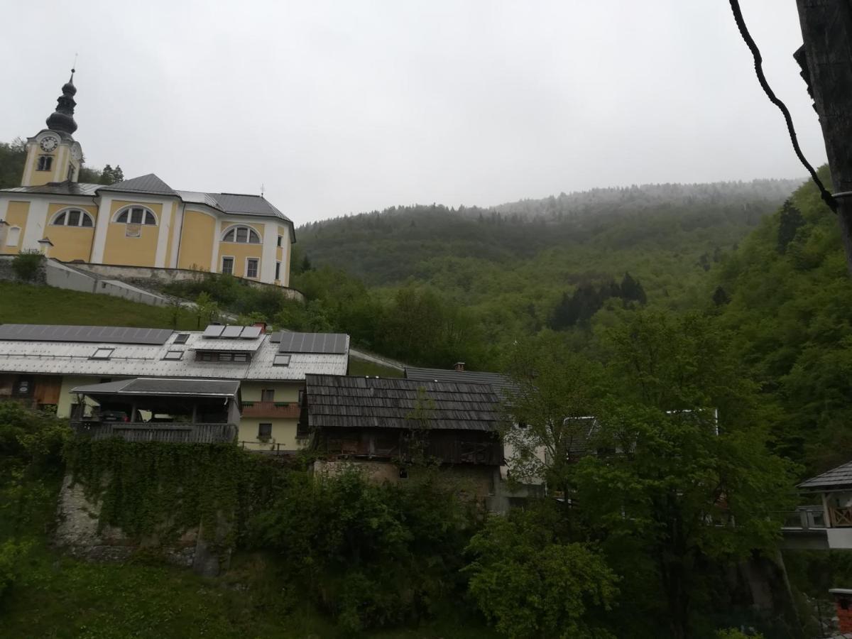 Apartma Pr Pekovcu 博希尼 外观 照片